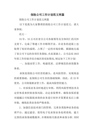 保险公司工作计划范文两篇