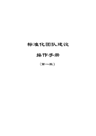 保险公司标准化团队操作手册