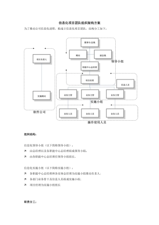 信息化项目团队组织架构方案