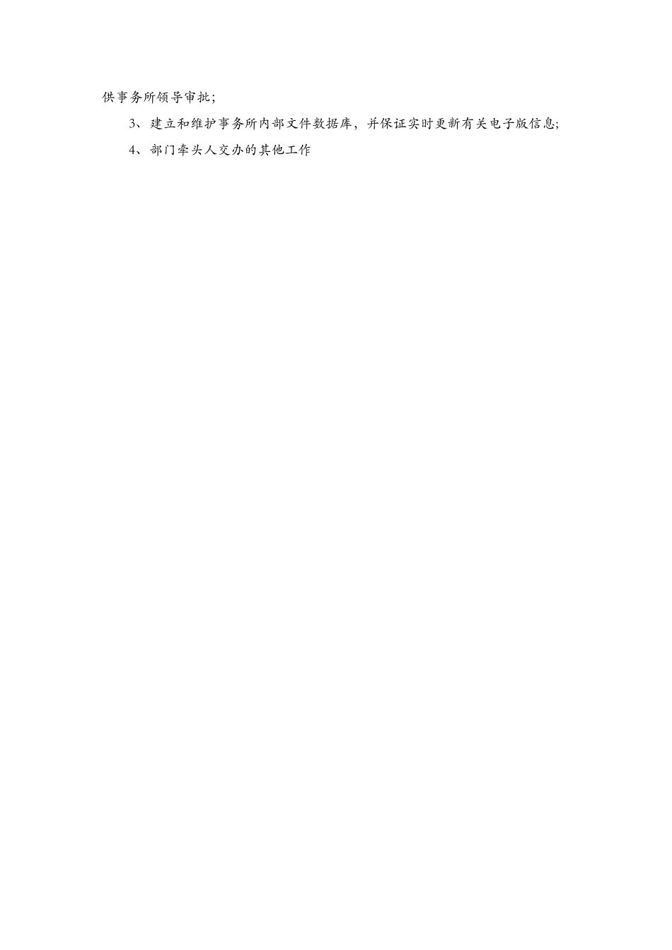 信息技术部门工作职责及分工_第3页