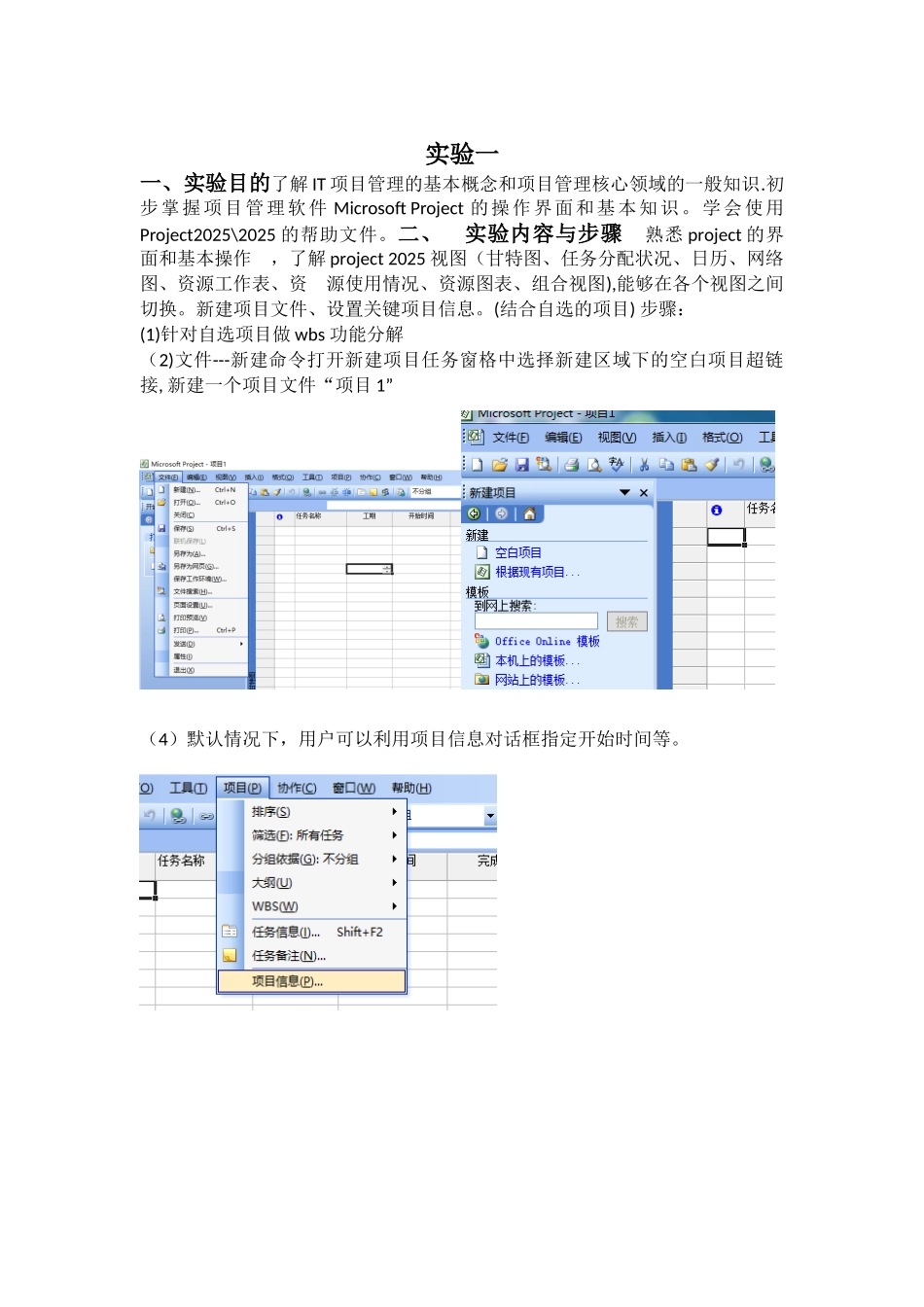 信息系统项目管理project202520252010_第3页