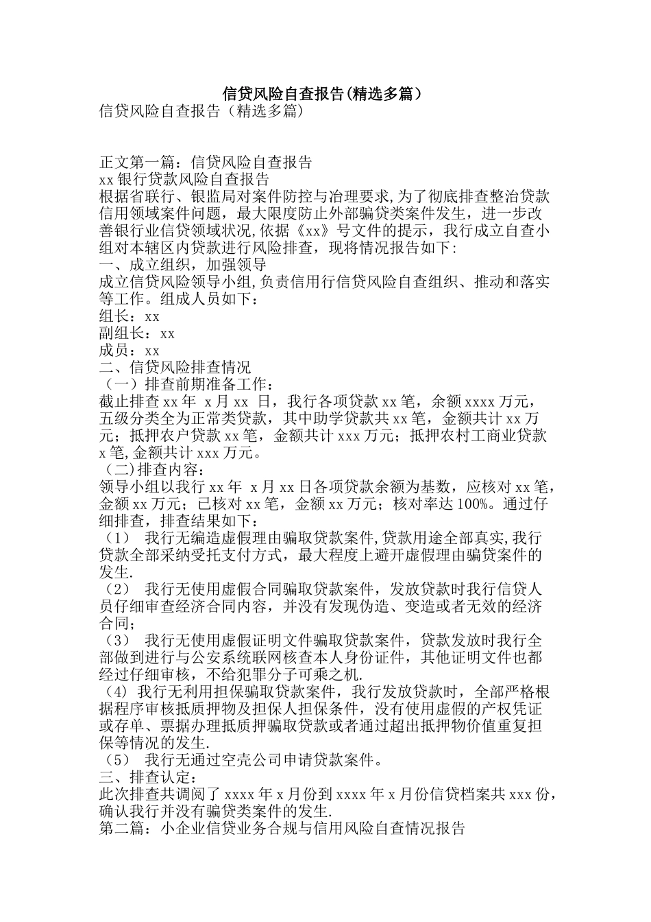 信贷风险自查报告_第1页