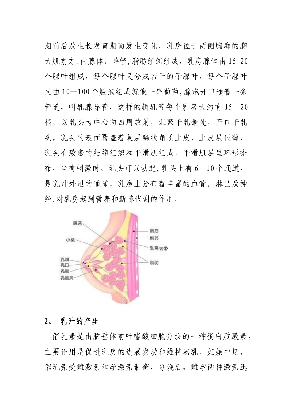 催乳师培训材料_第2页