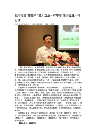 像大企业一样思考-像小企业一样行动