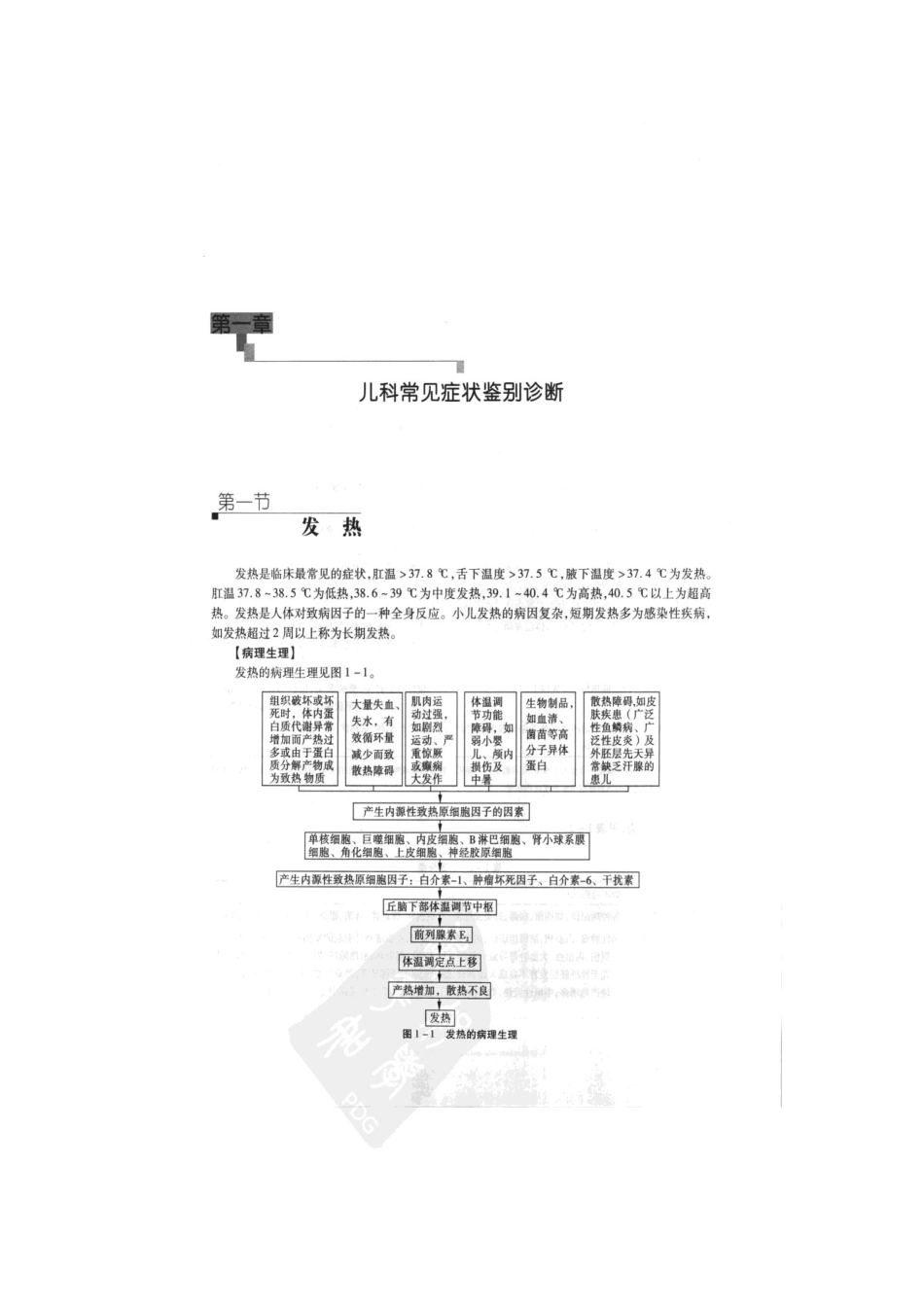 儿科病种流程图_第2页