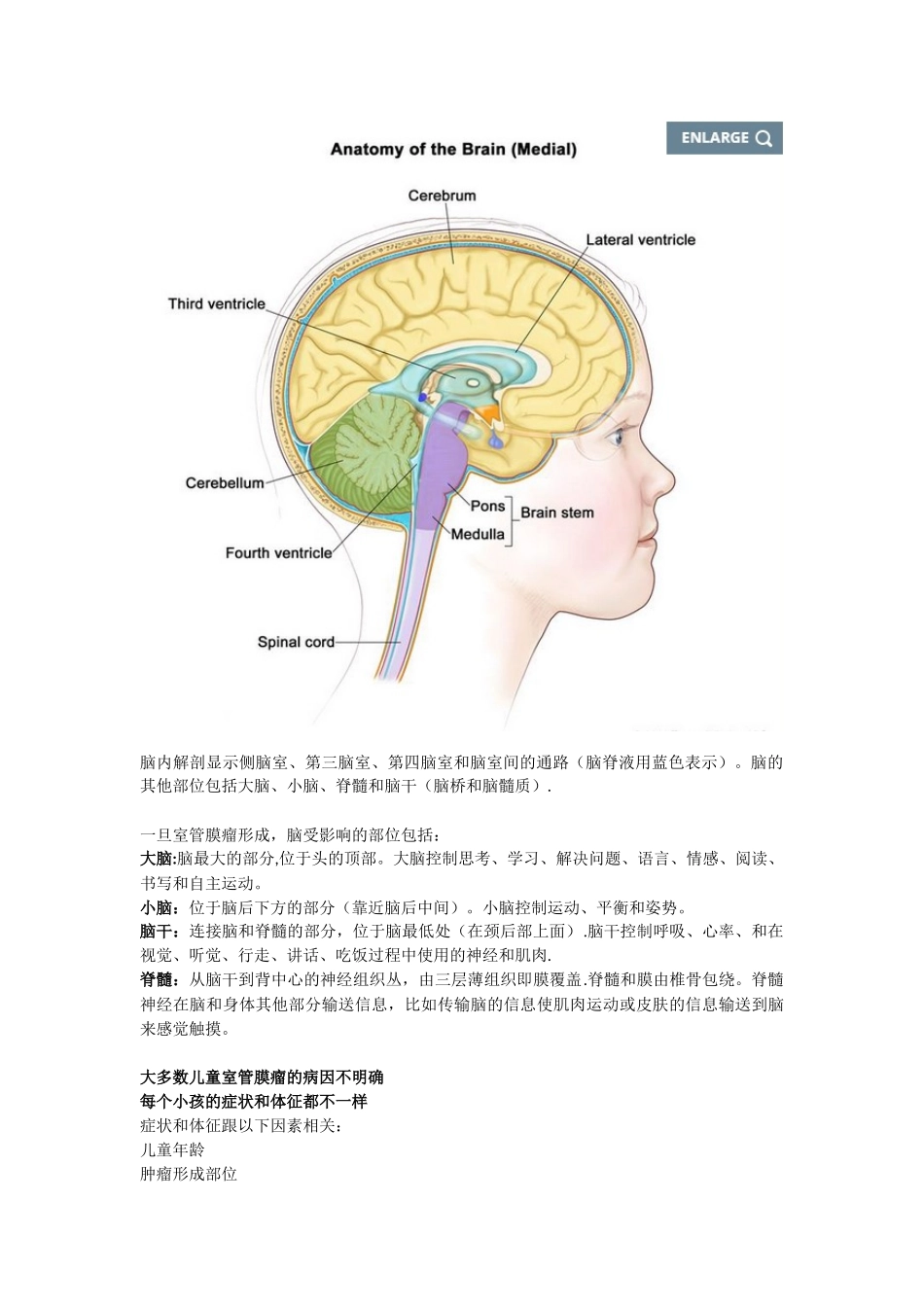 儿童室管膜瘤治疗的研究_第2页