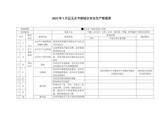 元旦节前综合安全生产检查表格