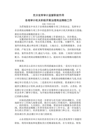 充分发挥审计监督职能作用