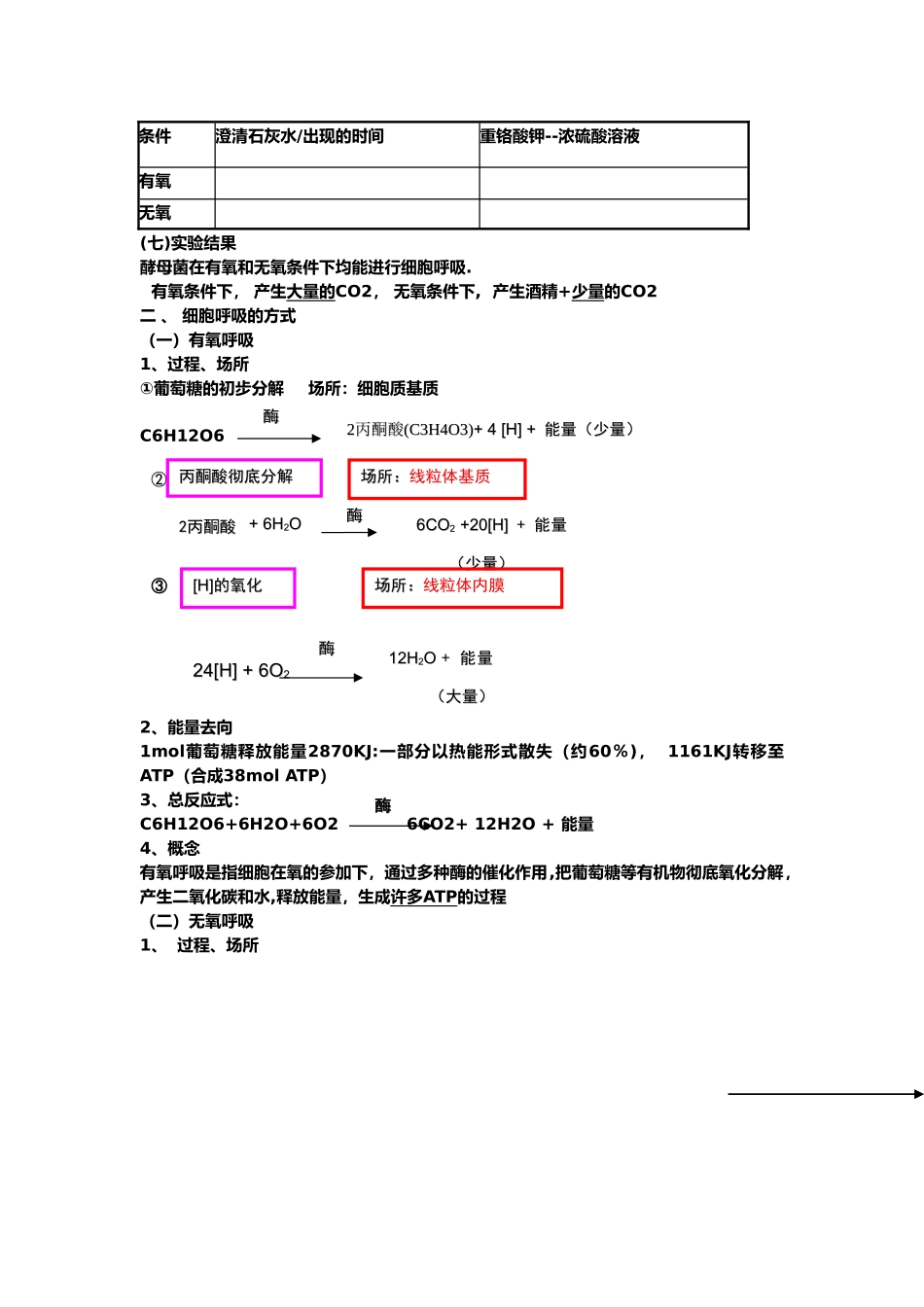 光合作用和呼吸作用知识点总结31051_第2页