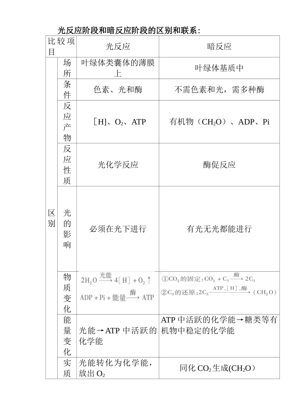 光反应阶段和暗反应阶段的区别和联系_第1页