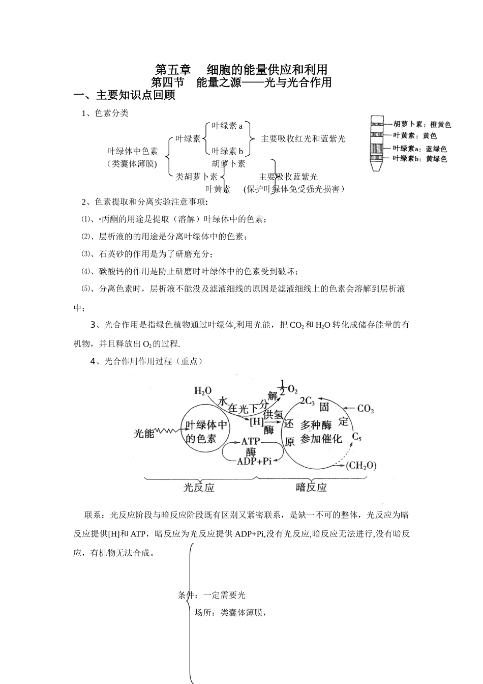 光合作用知识点总结_第1页