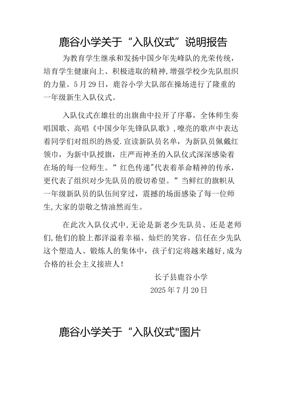 入队仪式说明报告67012_第1页