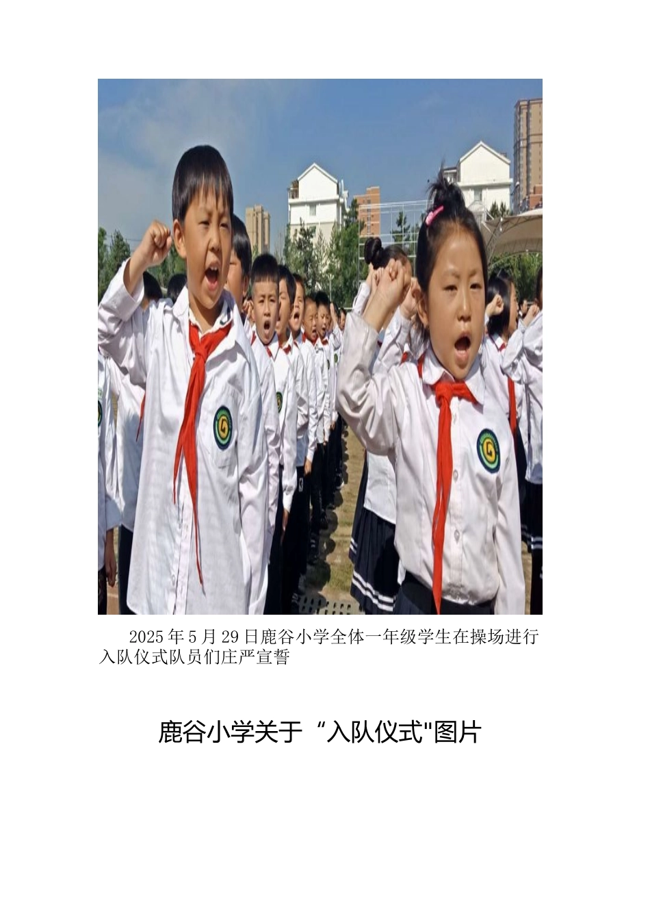 入队仪式说明报告67012_第2页