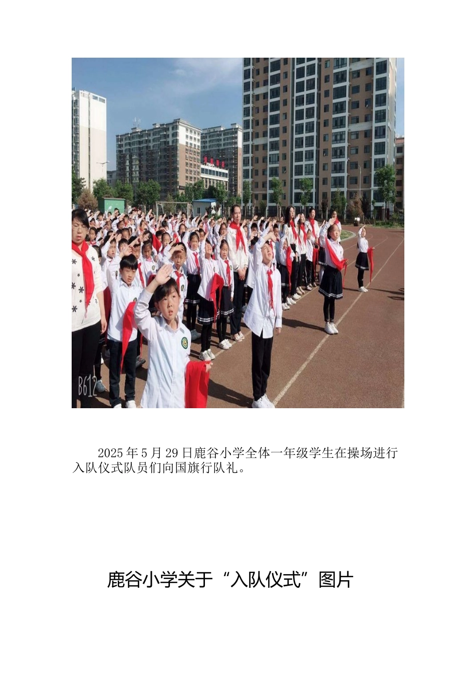 入队仪式说明报告67012_第3页