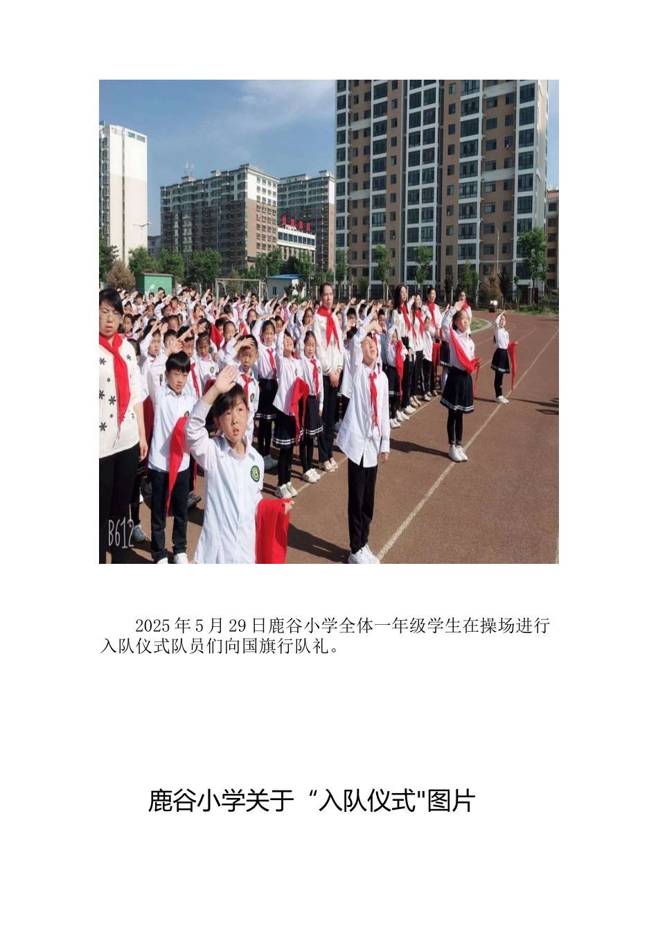 入队仪式说明报告_第3页