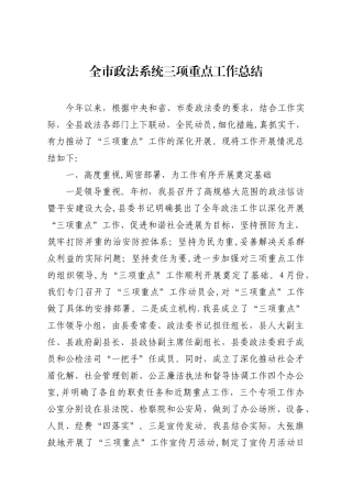 全市三项重点工作总结