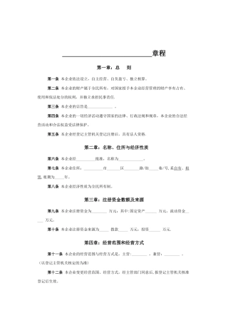全民所有制企业章程
