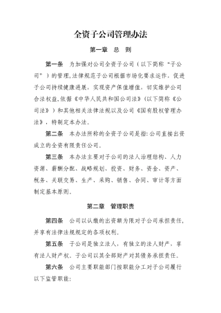 全资子公司管理办法