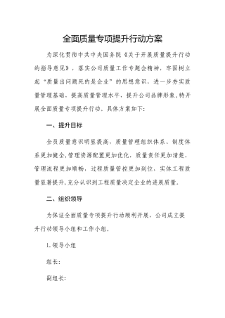 全面质量专项提升行动方案模板