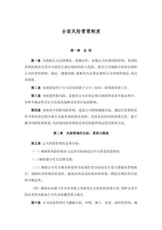 全面风险管理制度