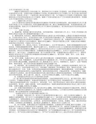 公共卫生服务项目工作计划