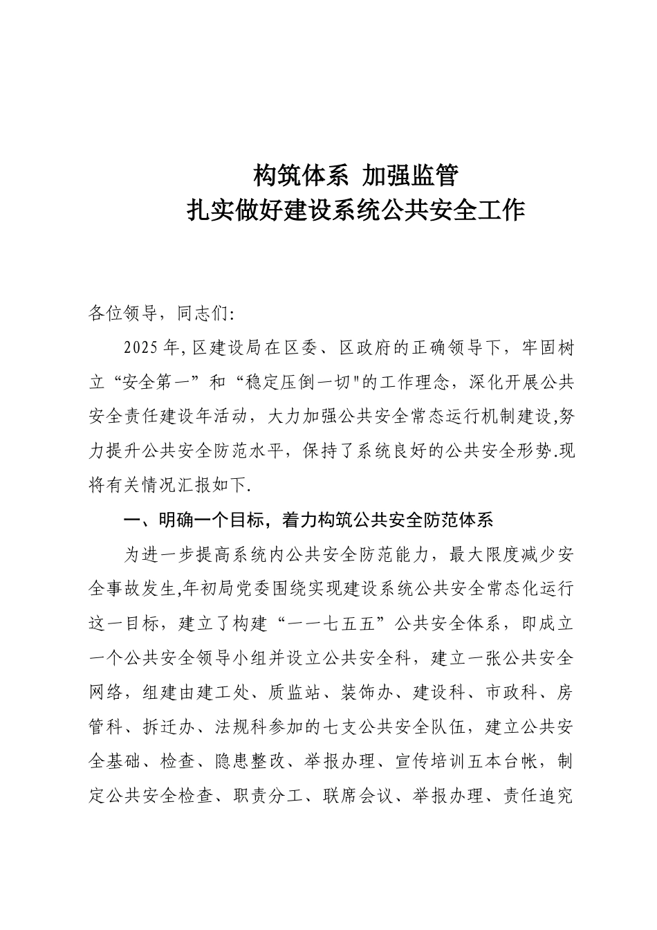 公共安全工作汇报_第1页