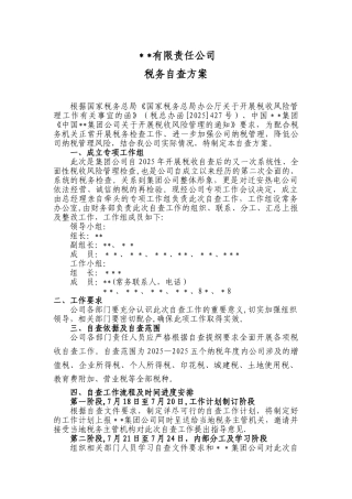 公司-税务自查工作方案