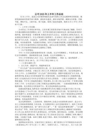 公司2025年上半年工作总结DOC