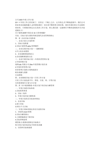 公司2025年度工作计划