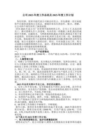 公司2025年度工作总结及2025年度工作计划