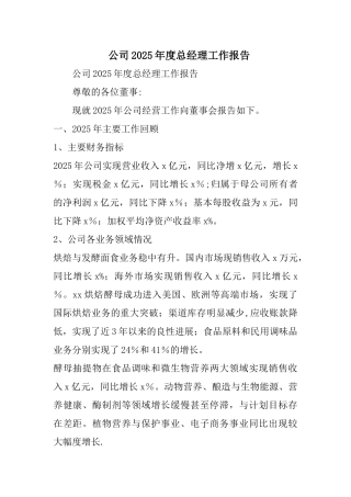 公司2025年度总经理工作报告
