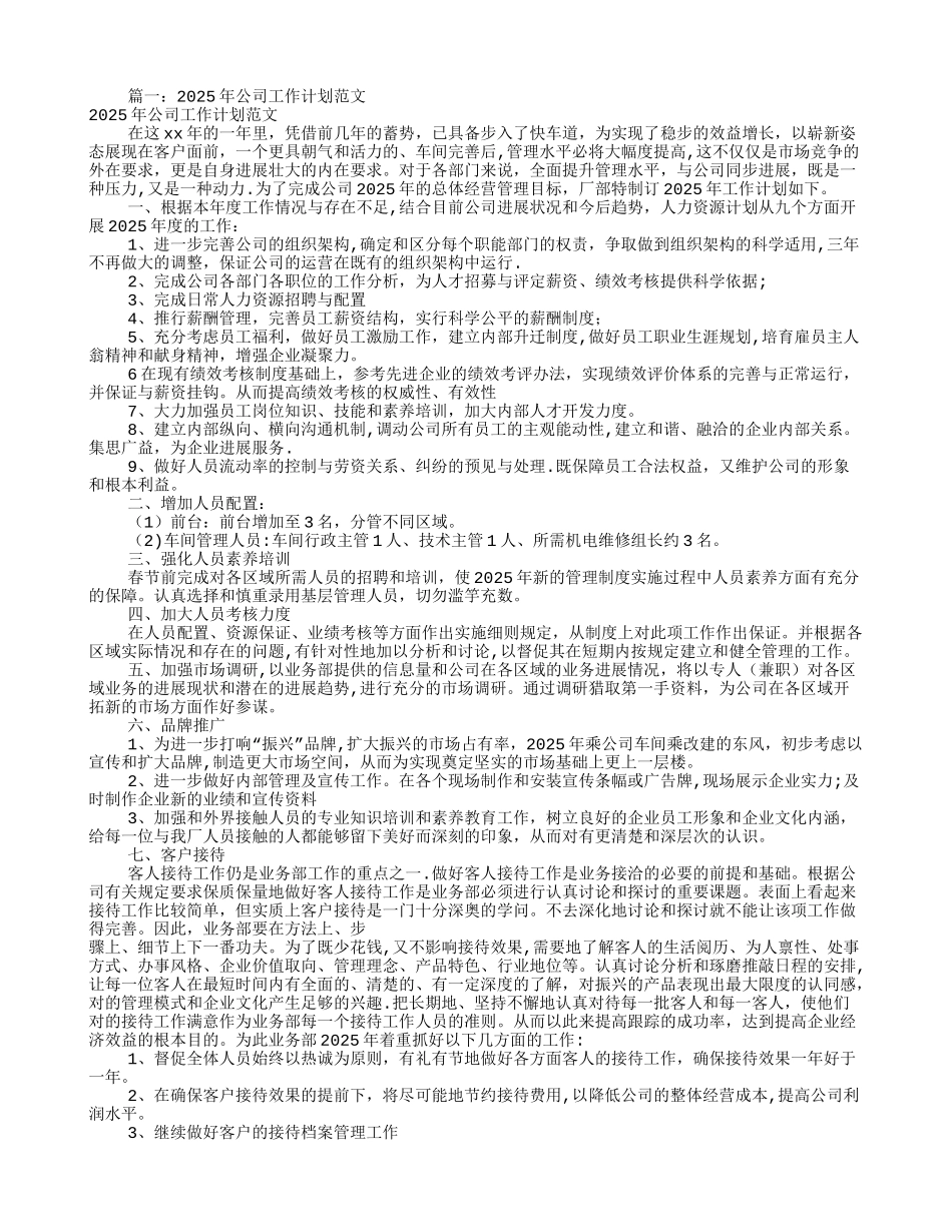 公司2025年度工作计划_第1页