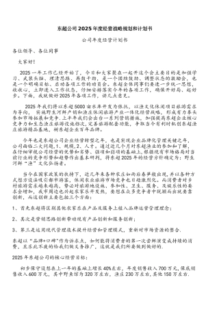 公司2025年度经营战略规划和计划书