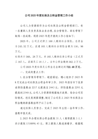 公司2025年度社保工作总结