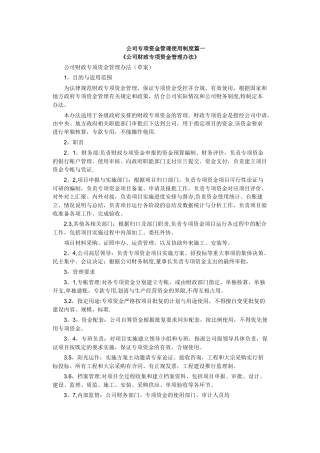 公司专项资金管理使用制度篇一