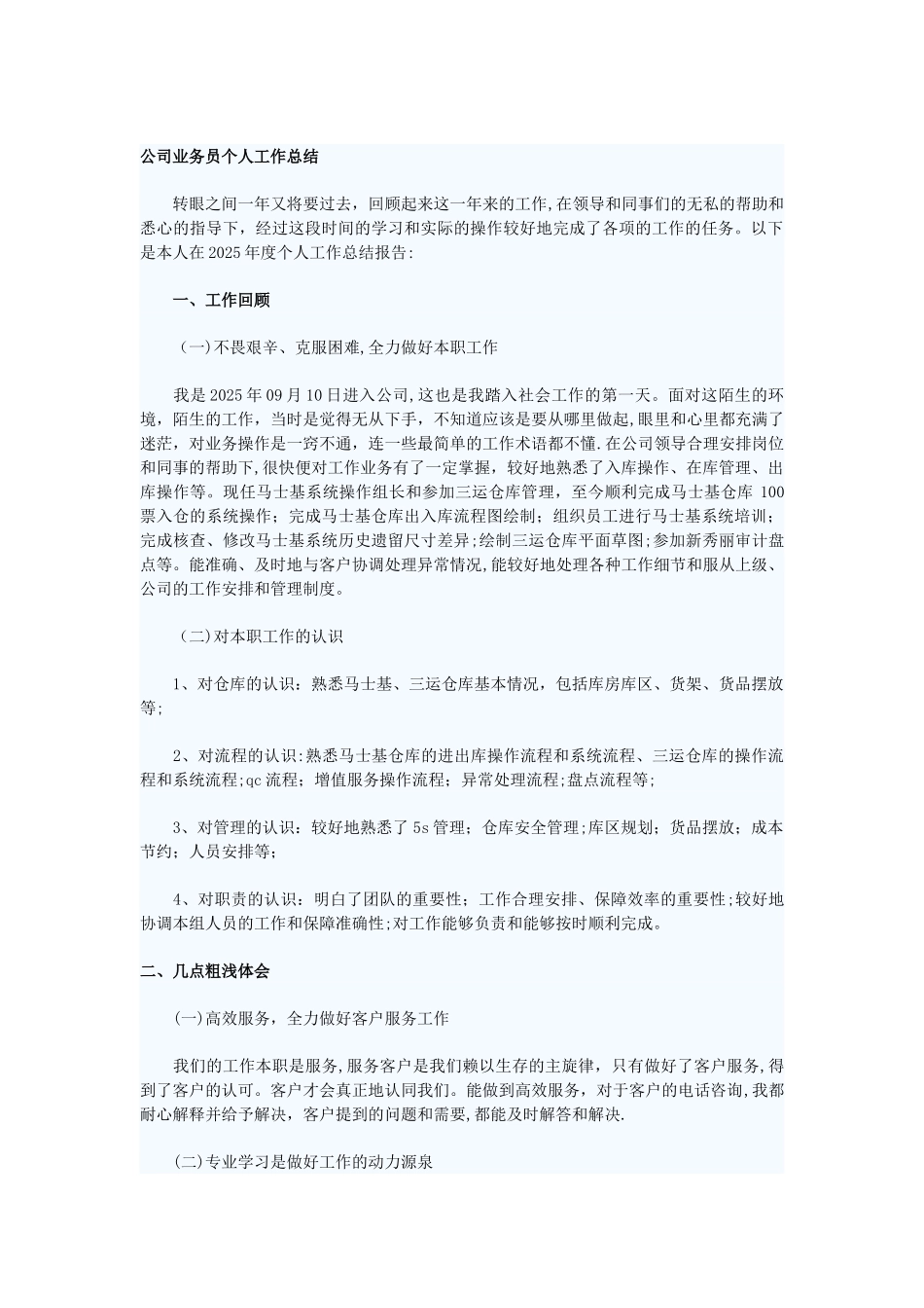 公司业务员个人工作总结_第1页
