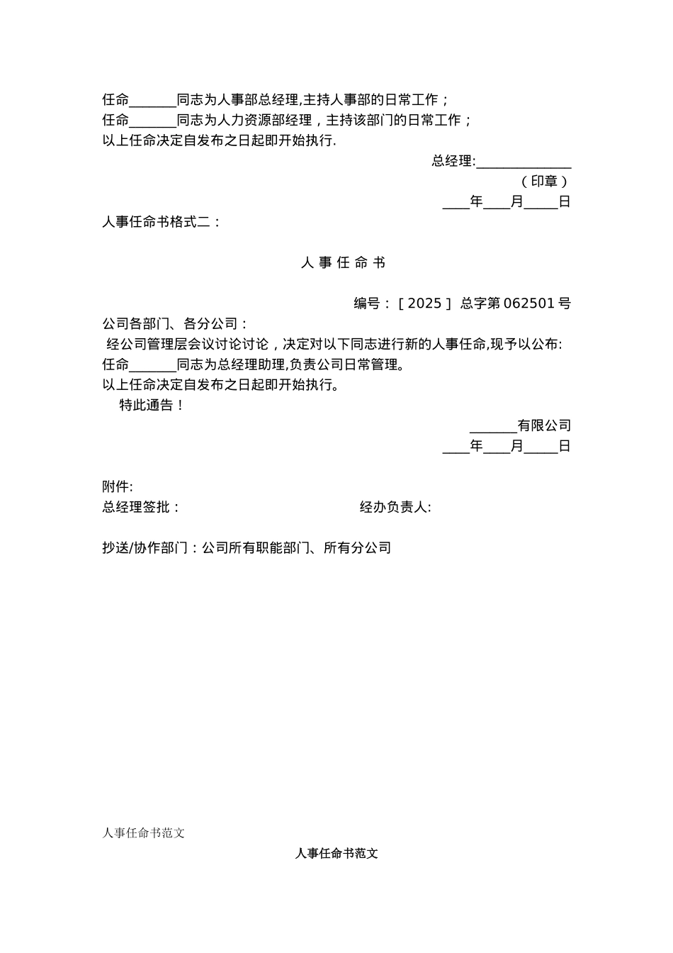 公司人事任命书格式_第3页