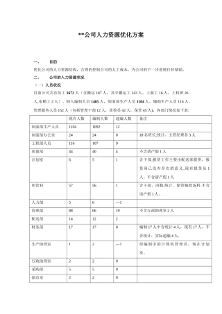 公司人力资源优化方案