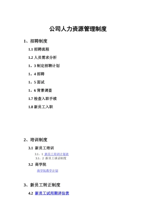 公司人力资源管理制度与流程