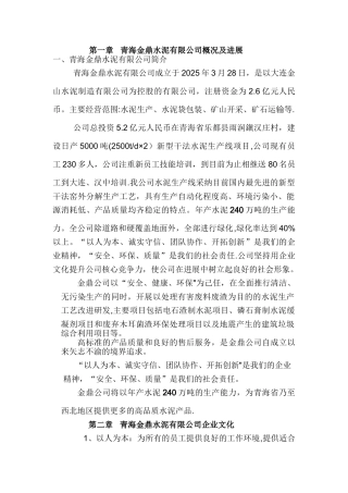 公司人力资源规划