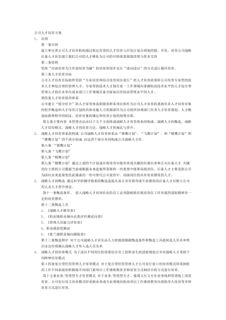 公司人才培养方案