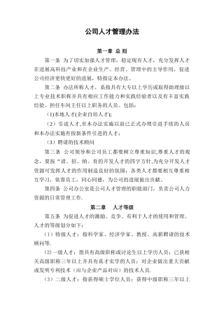公司人才管理办法
