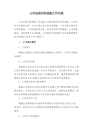 公司全面尽职调查报告工作方案