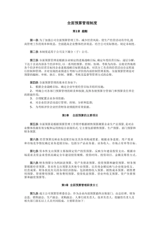 公司全面预算管理制度