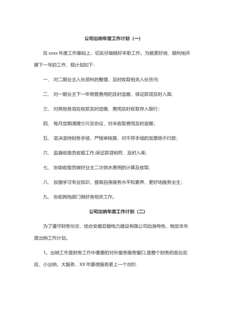 公司出纳年度工作计划