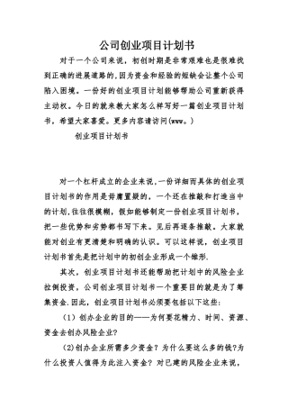 公司创业项目计划书