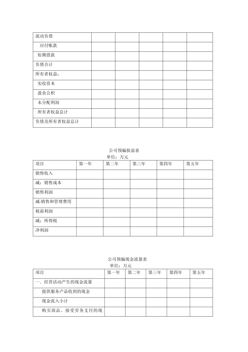 公司创业成本预算表模板_第2页