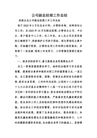 公司副总经理工作总结
