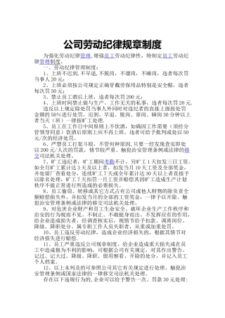 公司劳动纪律规章制度