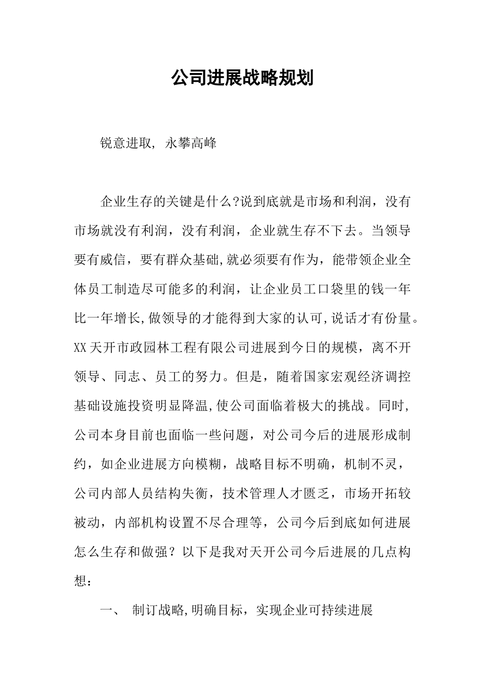 公司发展战略规划_第1页
